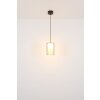 Lámparas Globo Lighting Lampigna Lámparas suspendidas LED Latón, Negro, 1 luz