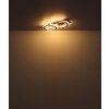 Lámparas Globo Lighting Jayden Plafones LED Madera oscura, Crudo, 1 luz