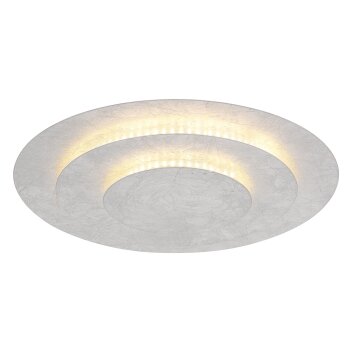 Lámparas Globo Lighting Heda Plafones LED Plata, 1 luz