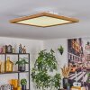 Tavlov Plafones, Panel LED Color madera, 1 luz