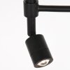 Lámparas Steinhauer Stang Lámpara de pie LED Negro, 2 luces