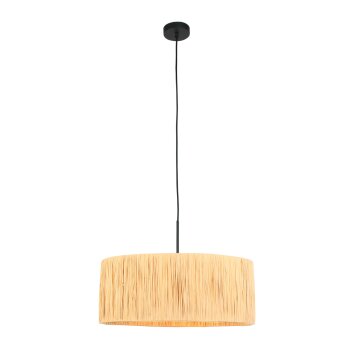 Lámparas Steinhauer Light Lámparas colgantes Negro, 1 luz