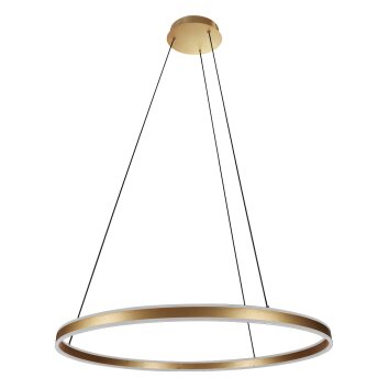 Lámparas Steinhauer Ringlux Lámparas colgantes LED dorado, 2 luces