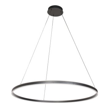 Lámparas Steinhauer Ringlux Lámparas colgantes LED Negro, 2 luces