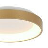 Lámparas Steinhauer Ringlede Plafones LED dorado, 1 luz