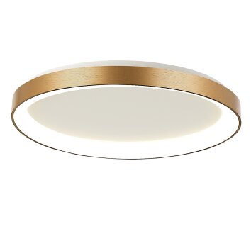 Lámparas Steinhauer Ringlede Plafones LED dorado, 1 luz