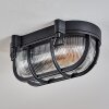 Godel Plafon de exterior, Plafones Negro, 1 luz