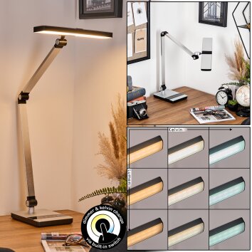 Pedreiras Lámparas de escritorio, Lámparas de mesa, Lámpara lectura LED Negro, Plata, 1 luz