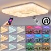 Flavlev Plafones LED Plata, Blanca, 1 luz, Mando a distancia