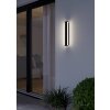 Lámparas Eglo NEVIANO Aplique de exterior LED Negro, 2 luces