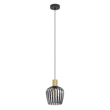 Lámparas Eglo EMPOLI Lámparas suspendidas Latón, Negro, 1 luz