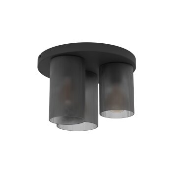 Lámparas Eglo COLOMERA Apliques Negro, 3 luces