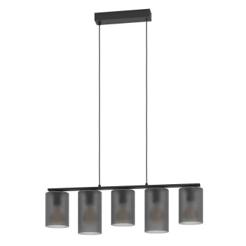 Lámparas Eglo COLOMERA Lámparas suspendidas Negro, 5 luces