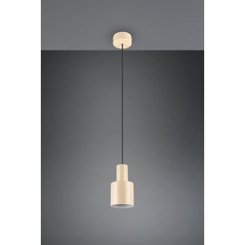 Lámparas Trio Agudo Lámparas colgantes Beige, 1 luz