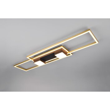 Lámparas Trio ALBANY Plafones LED Negro-dorado, 1 luz, Mando a distancia