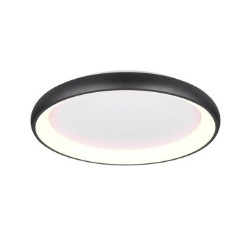 Lámparas Trio Cardona Plafones LED Negro, 1 luz