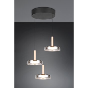 Lámparas Trio Celeste Lámparas colgantes LED Negro, 1 luz