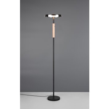 Lámparas Trio Celeste Lámpara de pie LED Negro, 1 luz