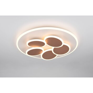 Lámparas Trio Mandala Plafones LED Gris, 1 luz, Mando a distancia