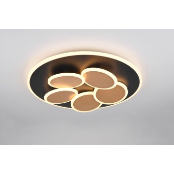 Lámparas Trio Mandala Plafones LED Negro-dorado, 1 luz, Mando a distancia