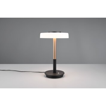 Lámparas Trio Celeste Lámparas de mesa LED Marrón, 1 luz