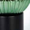 Koyoto Luminarias esféricas, Lámparas de escritorio, Lámparas de mesa 20 cm Verde, 1 luz