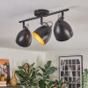 Bjedstrup Plafones, Spot techo Negro, 3 luces