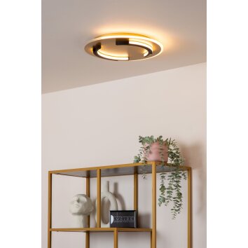 Lámparas Lucide ANDREAS Plafones LED dorado, 1 luz