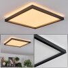 Xarel Plafones, Panel LED Negro, 1 luz