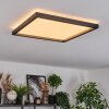 Xarel Plafones, Panel LED Negro, 1 luz