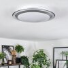 Calen Plafones, Spot techo LED Blanca, 1 luz