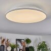 Norea Plafones, Spot techo LED Blanca, 1 luz