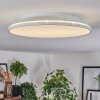 Norea Plafones, Spot techo LED Blanca, 1 luz