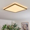 Antra Plafones, Panel LED dorado, 1 luz