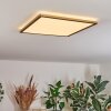 Antra Plafones, Panel LED dorado, 1 luz