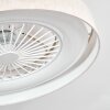 Benasal Plafones, lámpara ventilador de techo LED Blanca, 1 luz, Mando a distancia