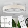 Benasal Plafones, lámpara ventilador de techo LED Blanca, 1 luz, Mando a distancia