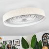 Benasal Plafones, lámpara ventilador de techo LED Blanca, 1 luz, Mando a distancia