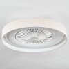 Benasal Plafones, lámpara ventilador de techo LED Blanca, 1 luz, Mando a distancia