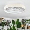 Benasal Plafones, lámpara ventilador de techo LED Blanca, 1 luz, Mando a distancia