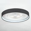 Benasal Plafones, lámpara ventilador de techo LED Blanca, 1 luz, Mando a distancia