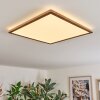 Antra Plafones, Panel LED Color madera, Blanca, 1 luz