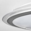 Arima Plafones LED Gris, Blanca, 1 luz