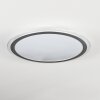 Arima Plafones LED Gris, Blanca, 1 luz