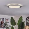 Arima Plafones LED Gris, Blanca, 1 luz