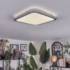 Arima Plafones LED Gris, Blanca, 1 luz