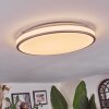 Anora Plafones LED Cobre, Blanca, 1 luz