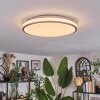 Anora Plafones LED Cobre, Blanca, 1 luz