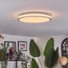 Anora Plafones LED Cobre, Blanca, 1 luz