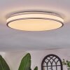 Arima Plafones LED Gris, Blanca, 1 luz